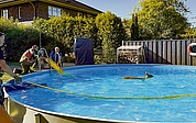 Ein Reh schwimmt in einem privaten Pool in Rellingen. Die anfänglichen Versuche, das Tier per Schleifkorbtrage und Schläuche aus dem Wasser zu bergen, scheiterten. (Foto: Florian Sprenger)