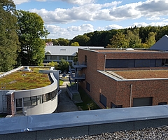 Die Pinneberger Kreisverwaltung begrünt zum Teil ihre eigenen Dächer. (Foto: Kreis Pinneberg)