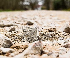So sieht das Ergebnis der ersten Sanierung aus. Die Baufirma soll nun nachbessern. (Foto: Frank)