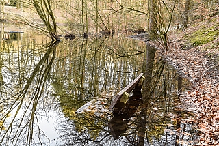Die feuchteste Sitzbank von Elmshorn steht im Liether See – unter Wasser. (Foto: Frank)