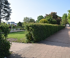 Wer hat den Raub im Rosarium beobachtet? (Archiv: Frank)