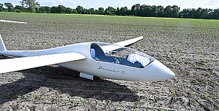 Das Segelflugzeug landete in Seeth-Ekholt auf einem Feld nördlich der Ekholter Au im Karkhorst. (Foto: Polizei)