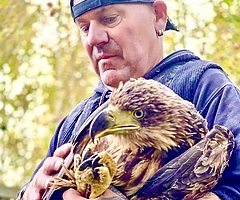 Viel Geduld war notwendig, um den Seeadler wieder in die Freiheit entlassen zu können. (Foto: Wildtierstation)