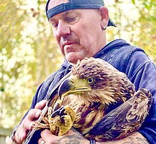 Viel Geduld war notwendig, um den Seeadler wieder in die Freiheit entlassen zu können. (Foto: Wildtierstation)